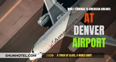 Exploring Denver Airport: American Airlines Terminal Guide