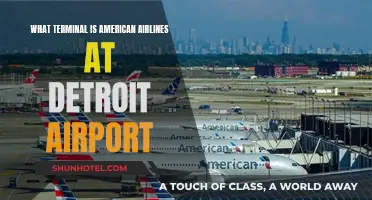 Exploring Detroit Airport: American Airlines Terminal Guide
