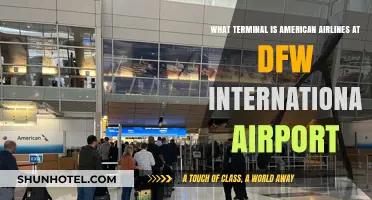American Airlines Terminal Guide: Navigating DFW International Airport