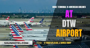 Exploring DTW: American Airlines' Terminal Guide