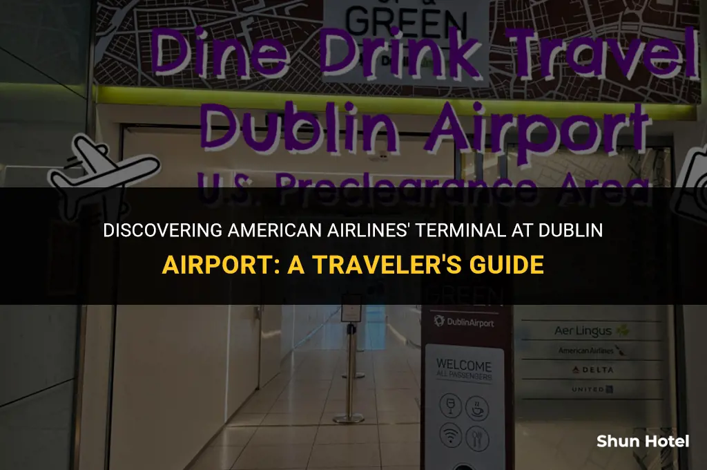 what terminal is american airlines at dublin airport