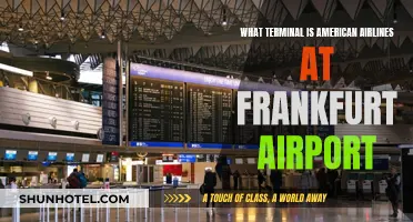 Exploring Frankfurt Airport: American Airlines' Terminal Guide