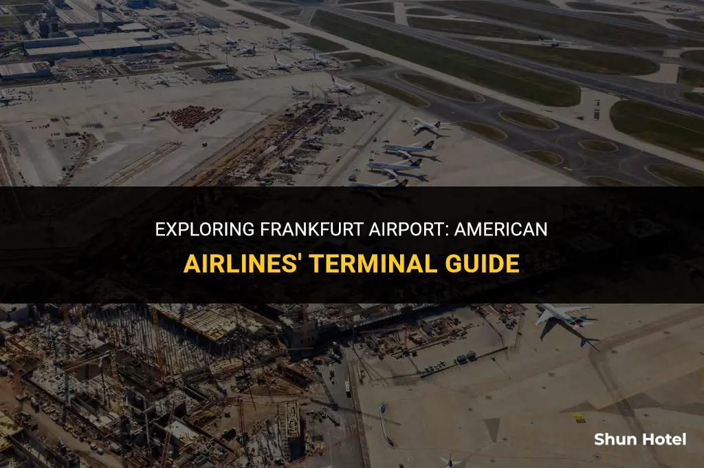 what terminal is american airlines at frankfurt airport