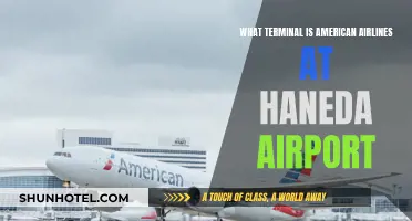 Exploring Haneda: American Airlines' Terminal Guide