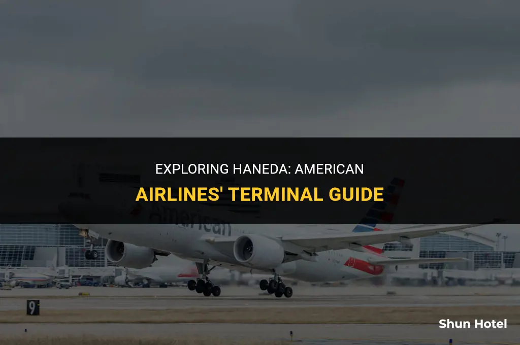 what terminal is american airlines at haneda airport