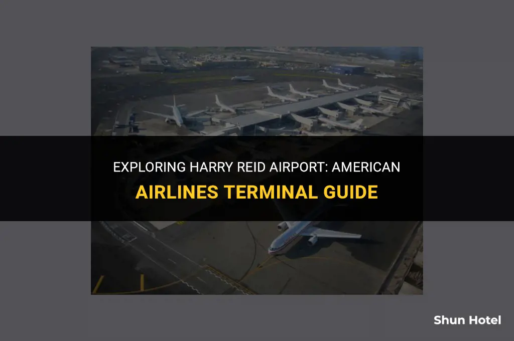what terminal is american airlines at harry reid airport