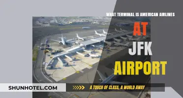 Exploring JFK: American Airlines' Terminal Guide