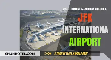 American Airlines Terminal Guide: Navigating JFK International Airport