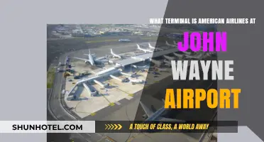 Exploring John Wayne Airport: American Airlines Terminal Guide