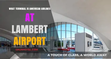 Exploring Lambert Airport: American Airlines Terminal Guide