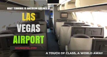 Exploring McCarran: American Airlines' Terminal at Las Vegas Airport