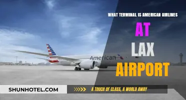 Exploring LAX: Where to Find American Airlines' Terminal