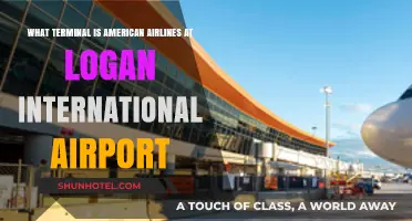 American Airlines Terminal Guide at Logan International Airport