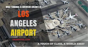 Exploring LAX: Where to Find American Airlines Terminal