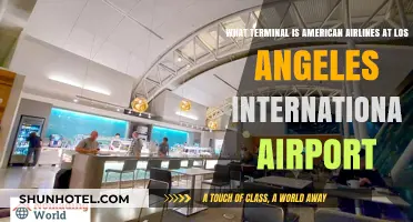 American Airlines Terminal Guide: Navigating LAX with Ease