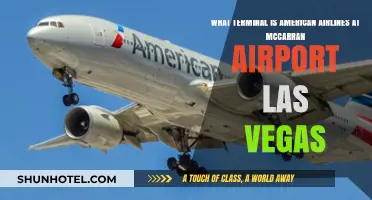 Exploring McCarran: American Airlines' Terminal Guide for Las Vegas Travelers
