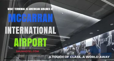 American Airlines Terminal Guide at McCarran International Airport