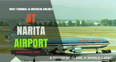 Exploring Narita: American Airlines' Terminal Guide