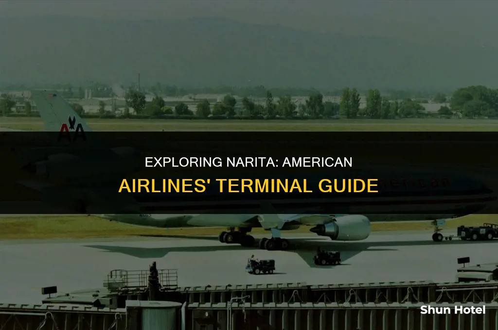 what terminal is american airlines at narita airport
