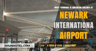 American Airlines Terminal Guide: Navigating Newark International Airport