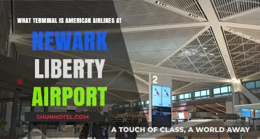 Exploring Newark Liberty: American Airlines' Terminal Guide