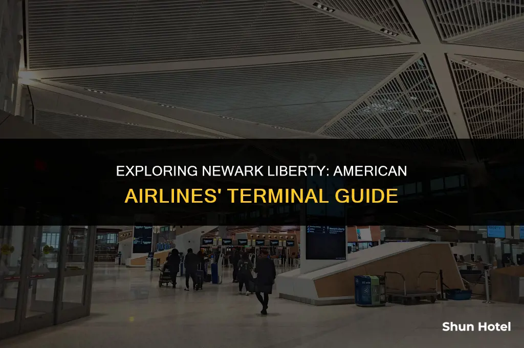 what terminal is american airlines at newark liberty airport
