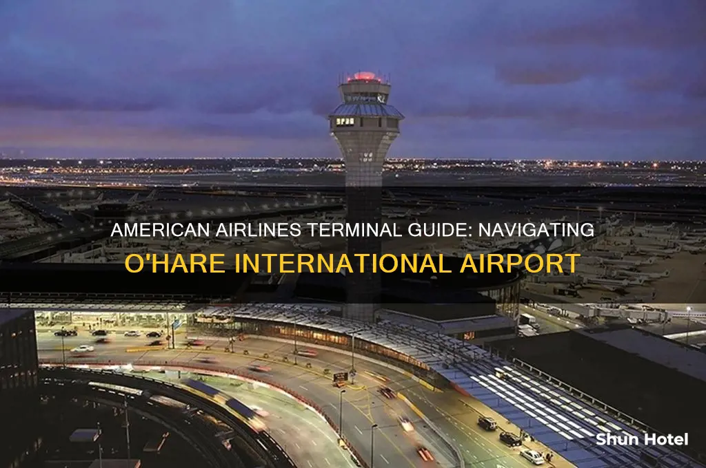 what terminal is american airlines at o