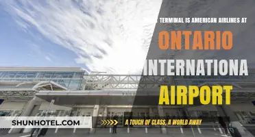 American Airlines Terminal Guide: Navigating Ontario International Airport