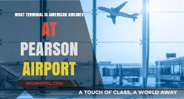 Exploring Pearson Airport: American Airlines Terminal Guide