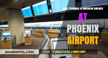 Exploring Phoenix Airport: American Airlines Terminal Guide