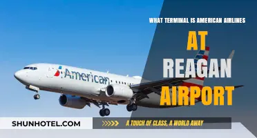 Exploring Reagan Airport: American Airlines Terminal Guide