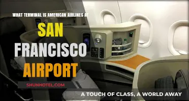 Exploring SFO: American Airlines' Terminal Guide