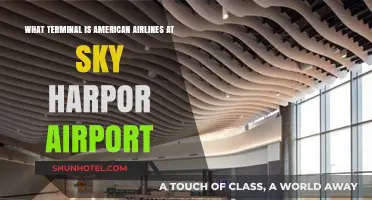 Exploring Sky Harbor: American Airlines' Terminal Guide