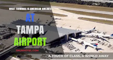 Exploring Tampa Airport: Where to Find American Airlines Terminal