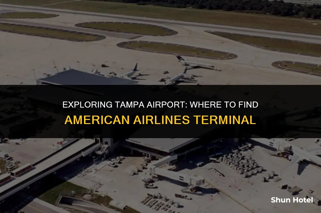 what terminal is american airlines at tampa airport