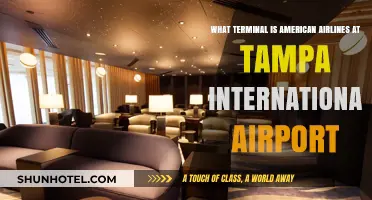 American Airlines Terminal Guide: Navigating Tampa International Airport