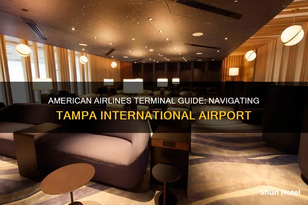 what terminal is american airlines at tampa international airport