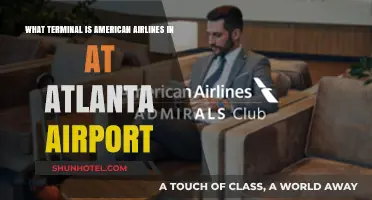 Exploring Atlanta Airport: American Airlines Terminal Guide