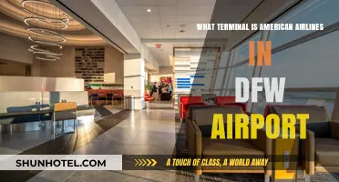 Exploring DFW: American Airlines' Terminal Guide
