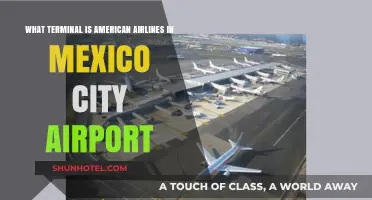 Exploring Mexico City Airport: Where to Find American Airlines Terminal