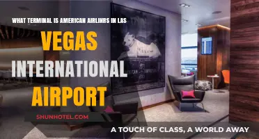 American Airlines Terminal Guide at Las Vegas International Airport