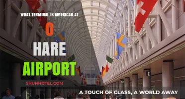 Exploring O'Hare: A Guide to American Airlines' Terminal
