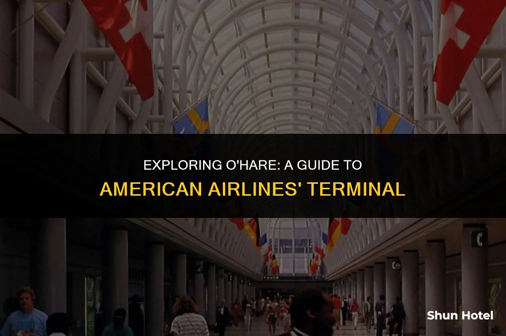 what terminal is american at o hare airport