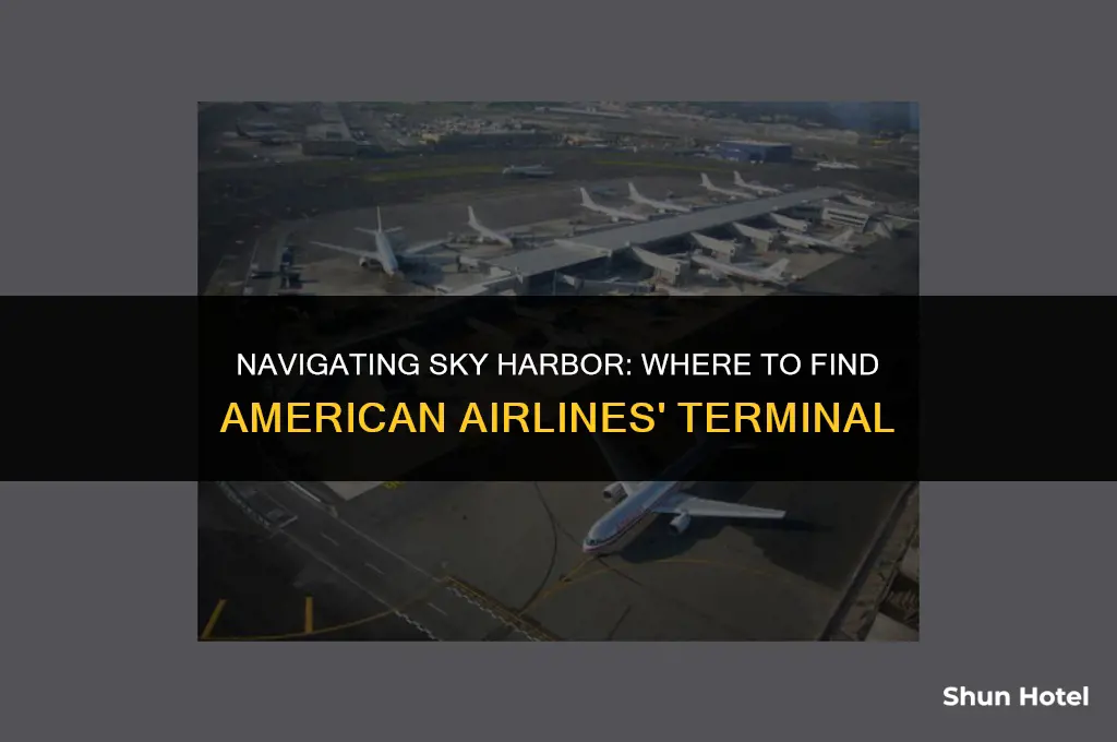 what terminal is american at sky harbor airport