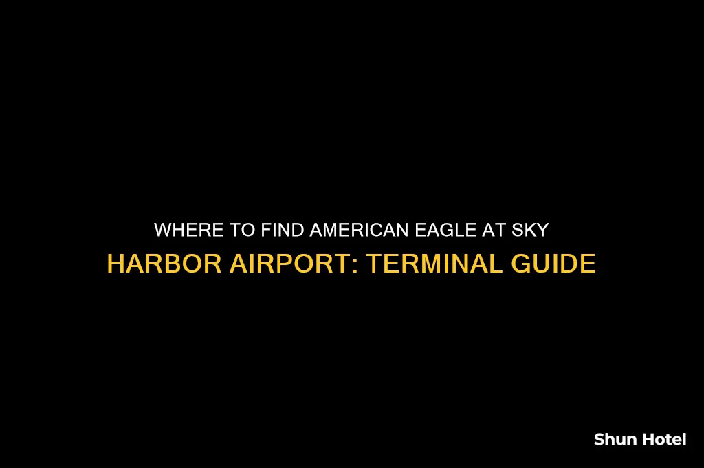 what terminal is american eagle at sky harbor airport