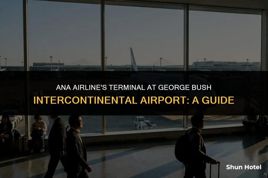 what terminal is ana airline at george bush intercontinental airport