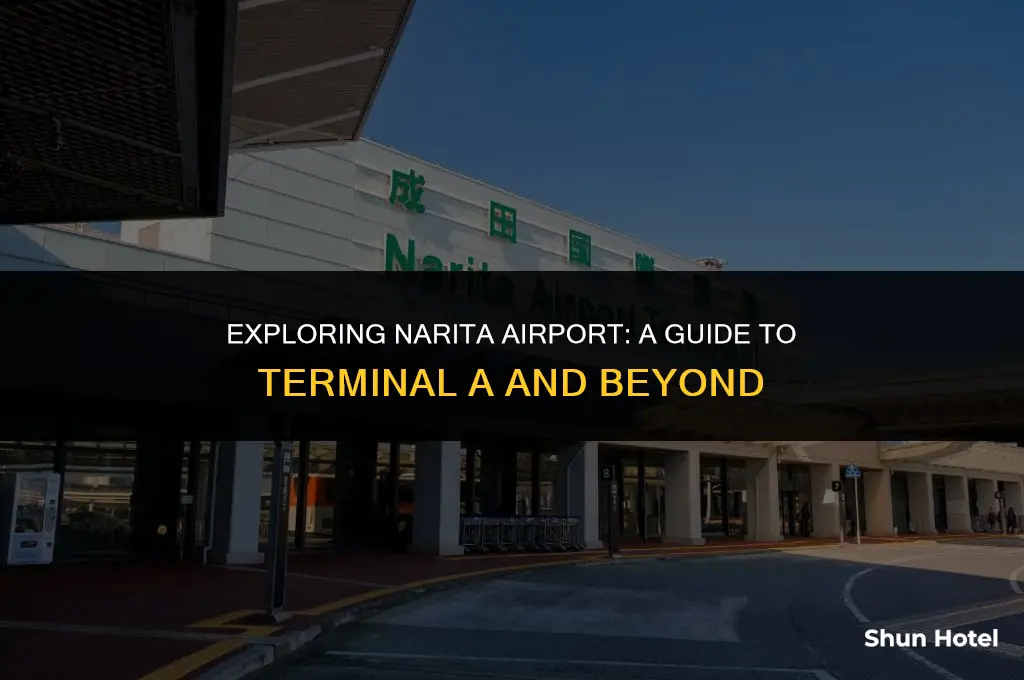 what terminal is ana at narita airport
