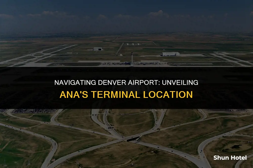 what terminal is ana in denver airport