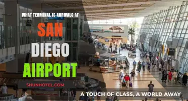 San Diego Airport Arrivals: Your Guide to Terminal 1 and Beyond