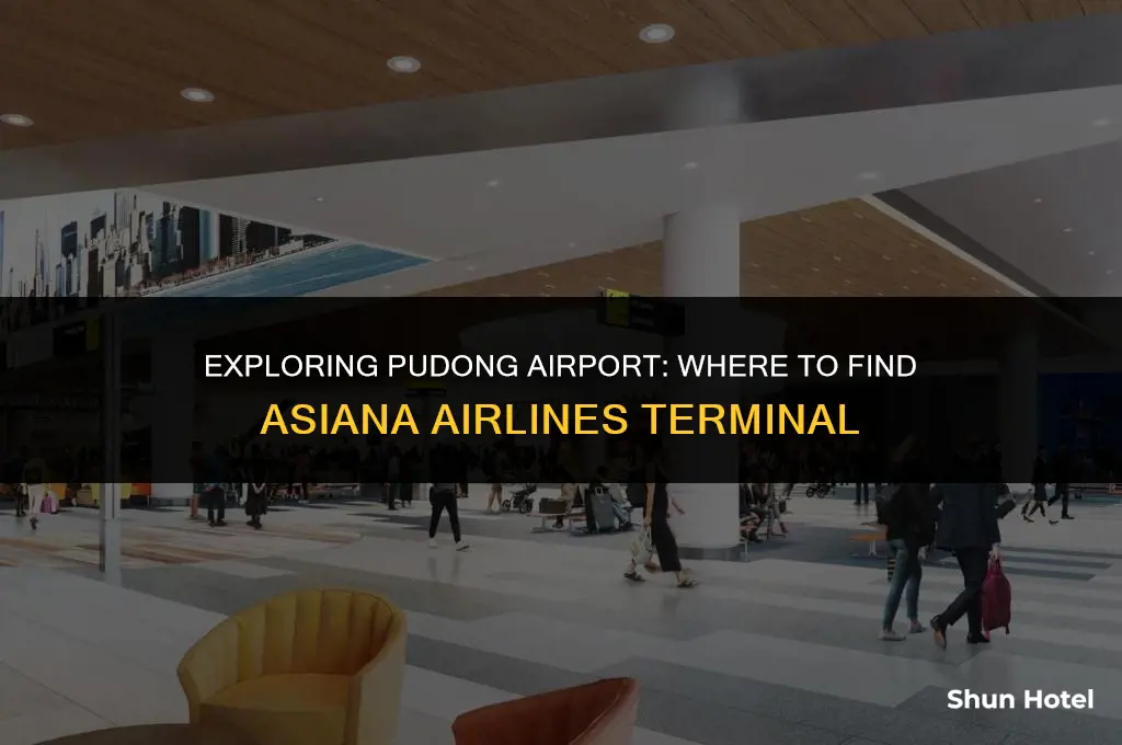 what terminal is asiana at pudong airport